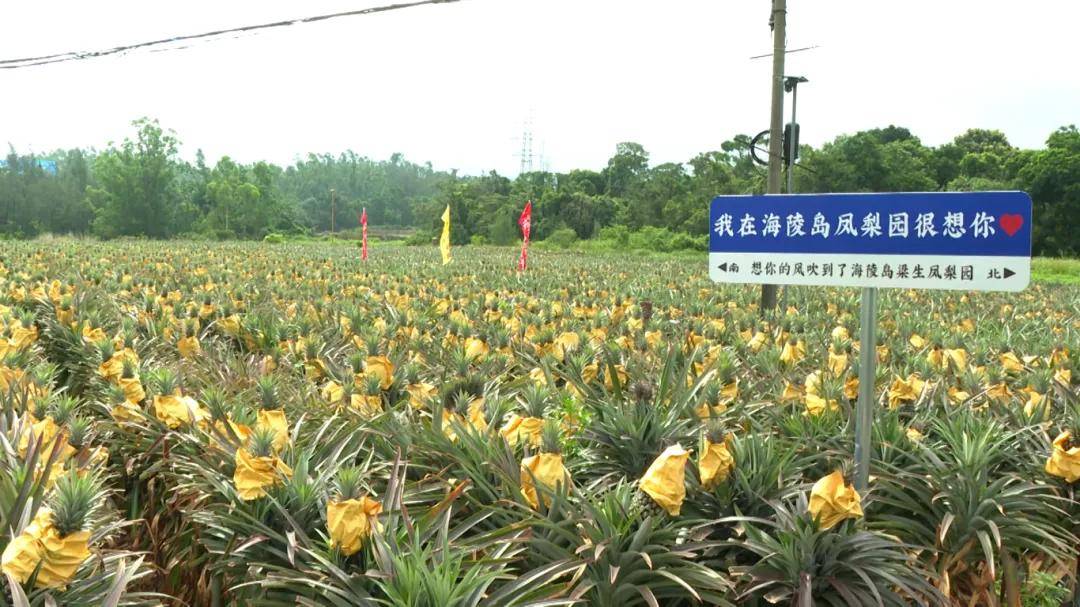 文章配图-5
