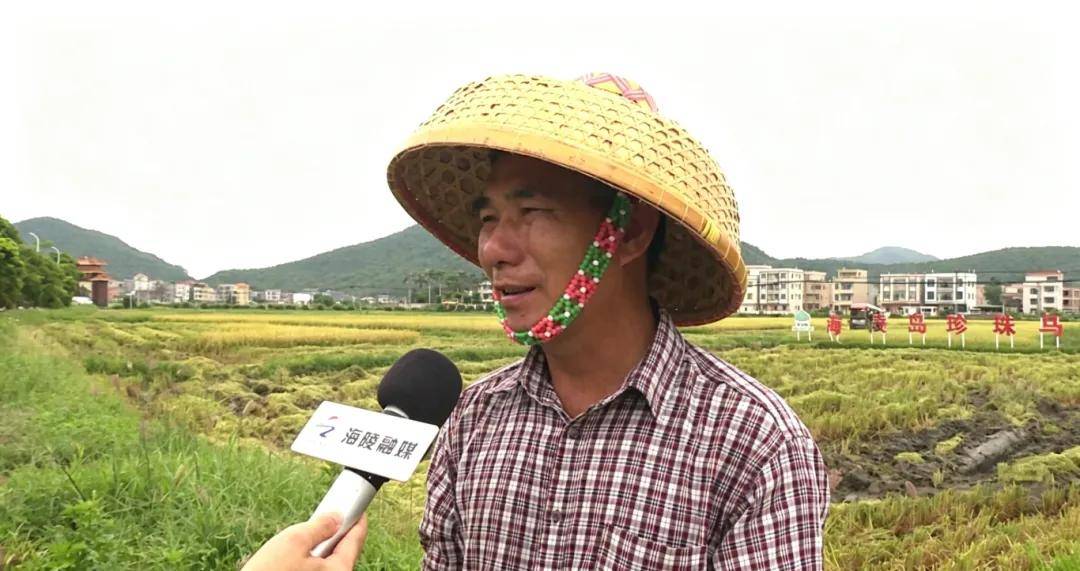 文章配图-2