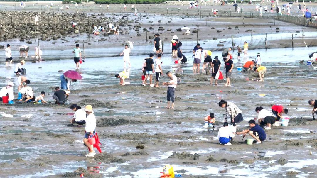 文章配图-6