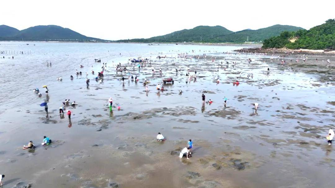 文章配图-5
